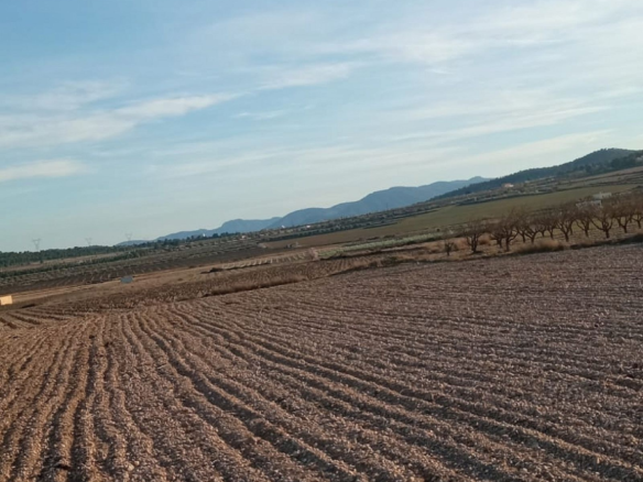 Land In Salinas, Spain (49.658 M² Plot)