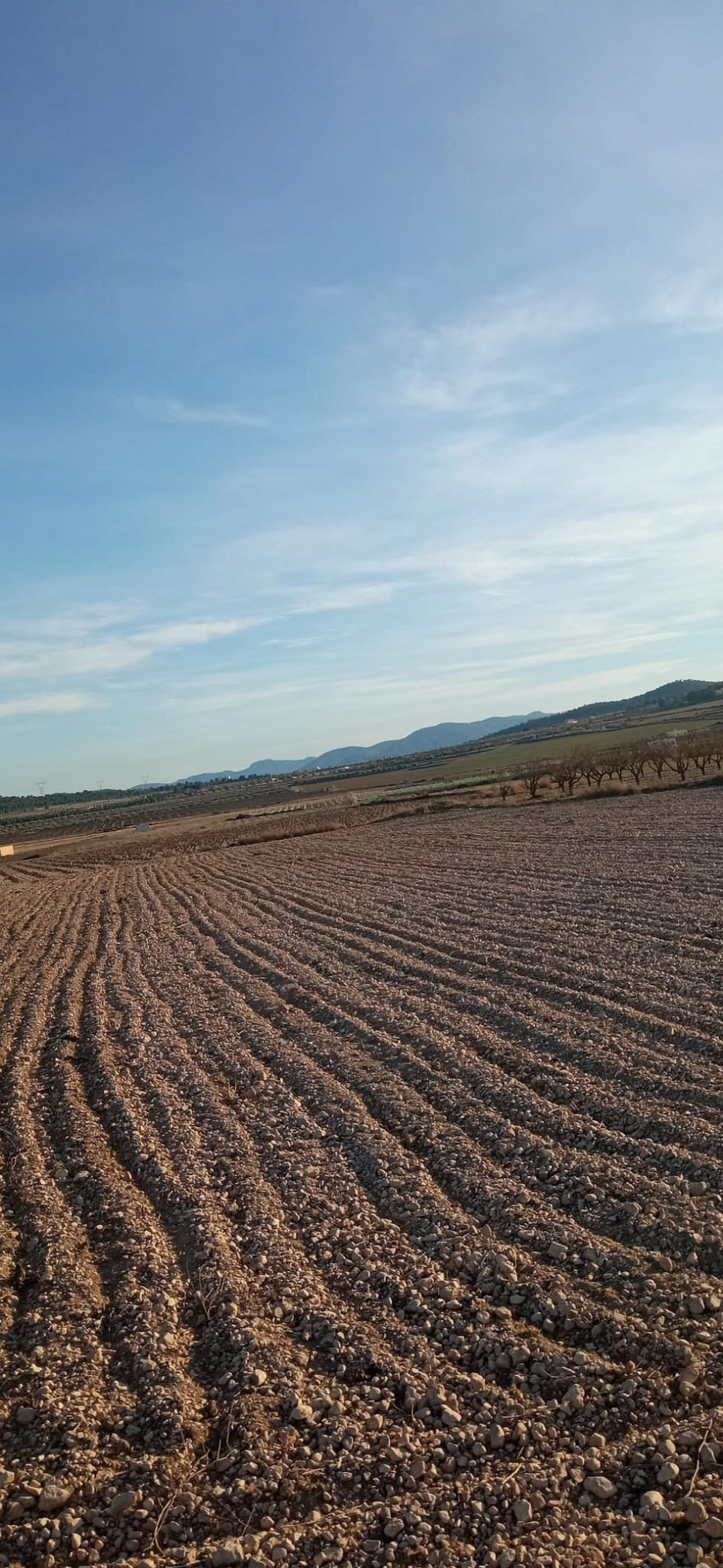 w_yj25utmg2gmz7mjxtxfy-be5beb Land In Salinas, Spain (49.658 M² Plot)
