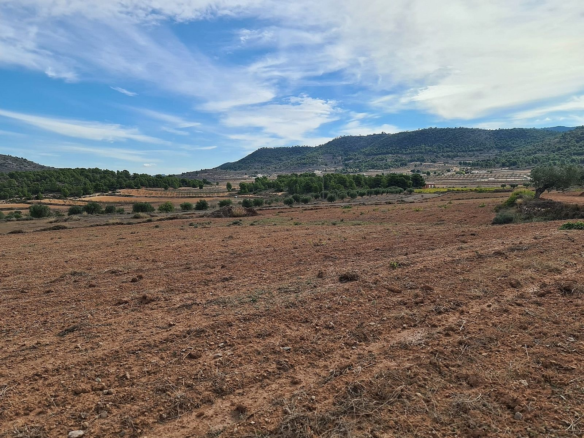 Land In Pinoso, Spain (20.343 M² Plot)