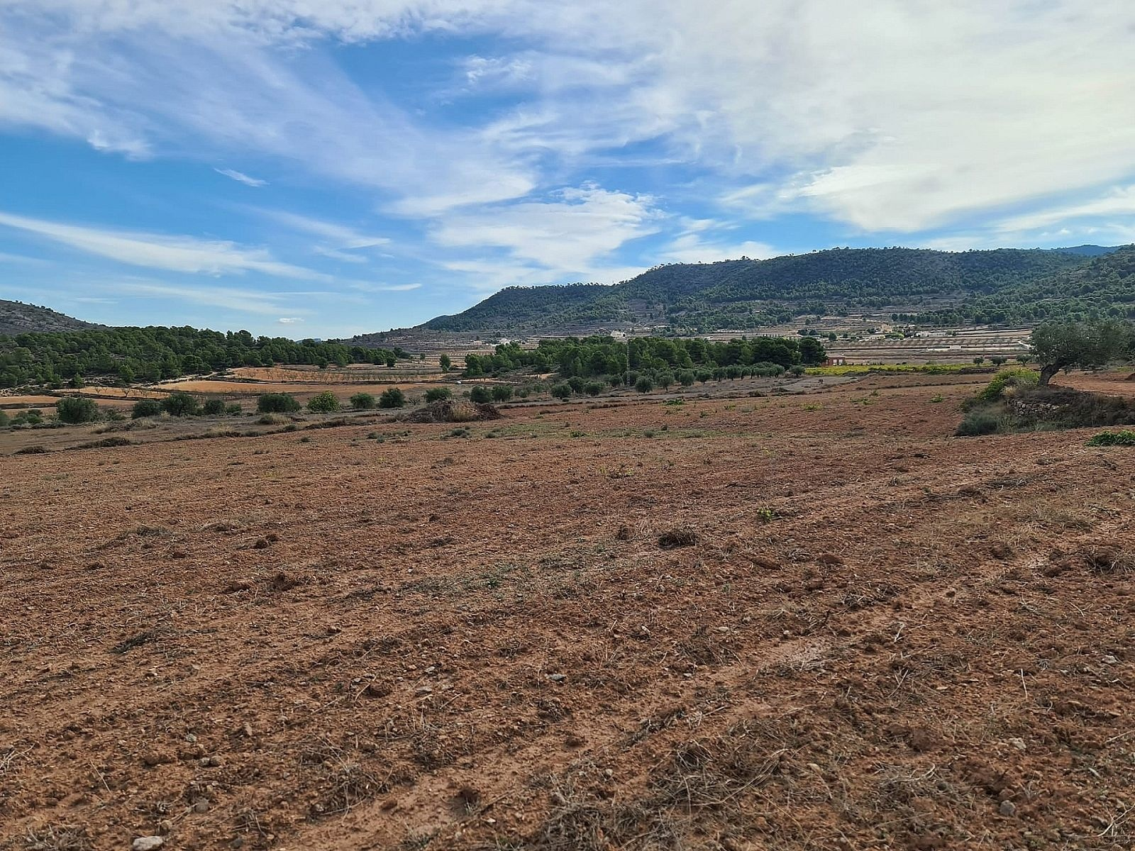 w_zn0urf5063bkfj7qu7jg-4eddf0 Land In Pinoso, Spain (20.343 M² Plot)