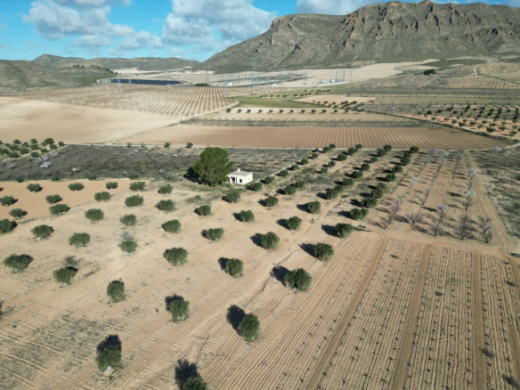 Land In La Alqueria, Spain (46.272 M² Plot)