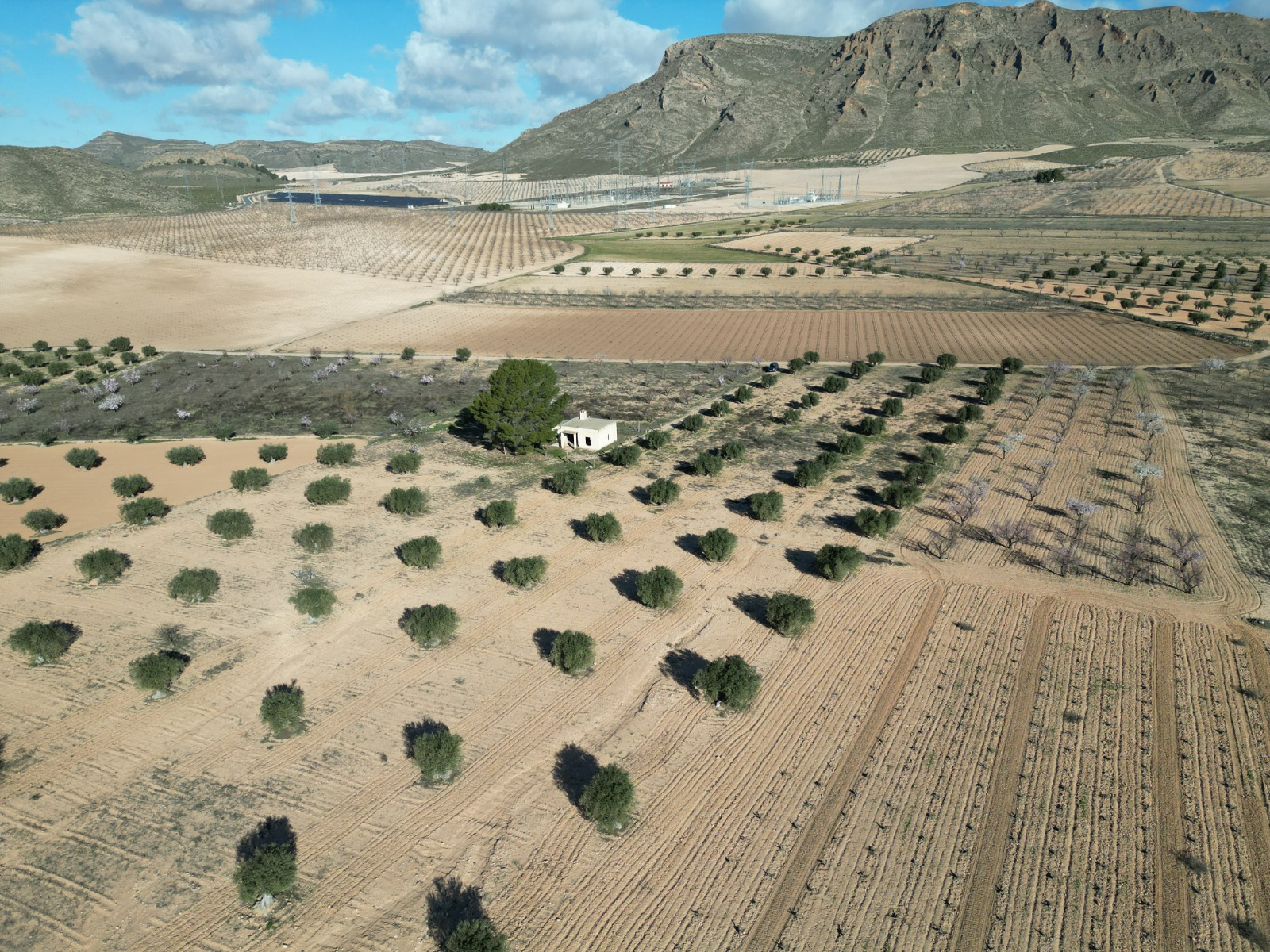 Land In La Alqueria, Spain (46.272 M² Plot)