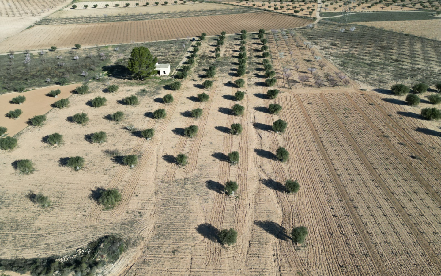 Land In La Alqueria, Spain (46.272 M² Plot)