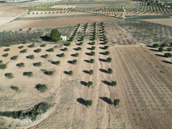 Land In La Alqueria, Spain (46.272 M² Plot)