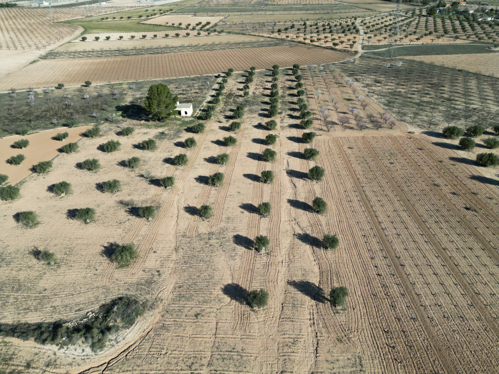 Land In La Alqueria, Spain (46.272 M² Plot)