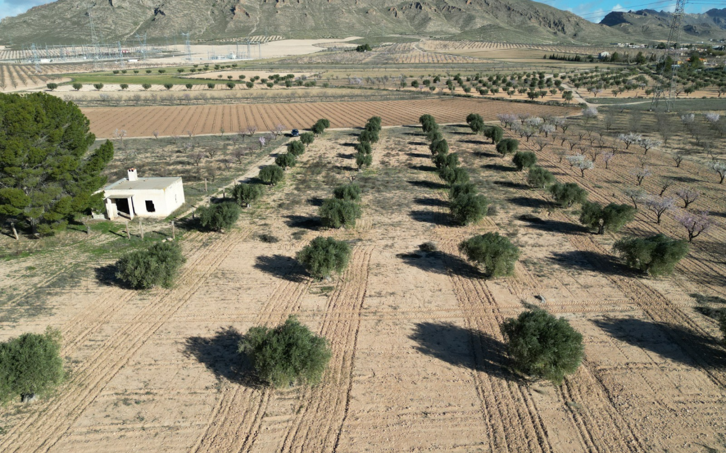 Land In La Alqueria, Spain (46.272 M² Plot)