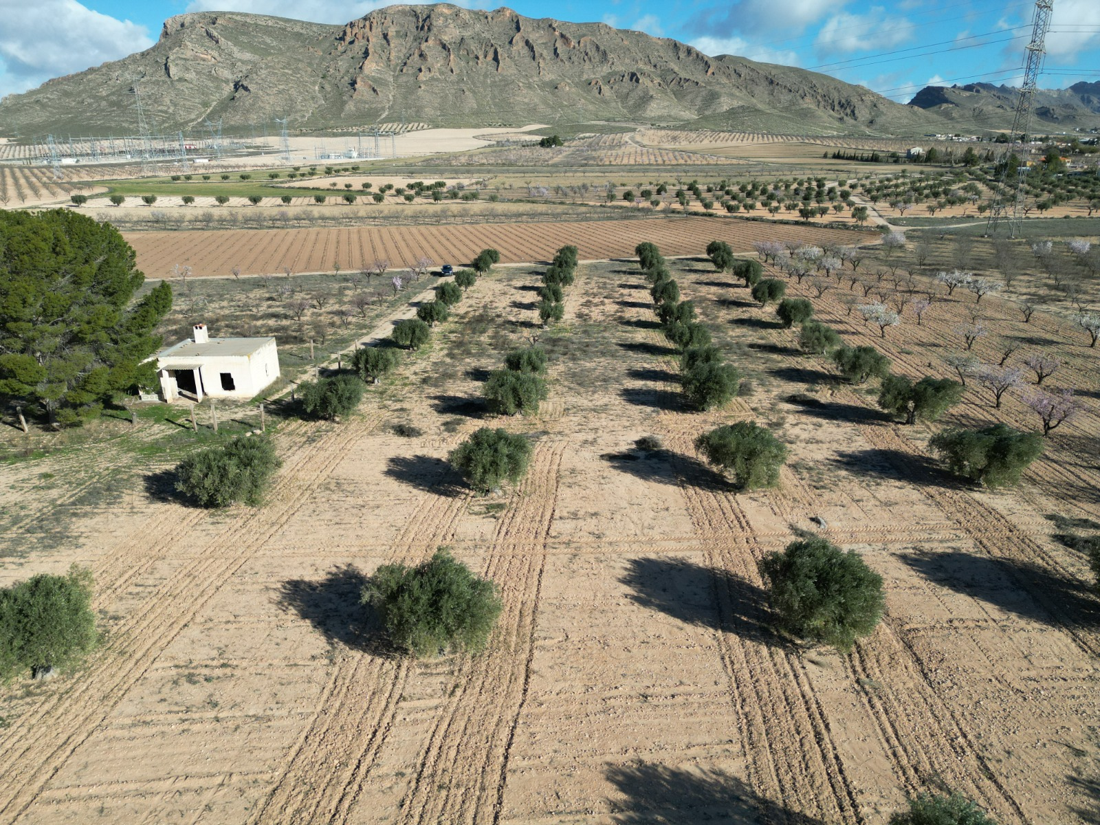Land In La Alqueria, Spain (46.272 M² Plot)