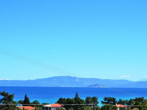 Land In Kassandra, Greece