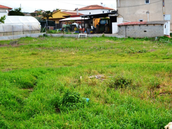 Land In Nea Propontida, Greece