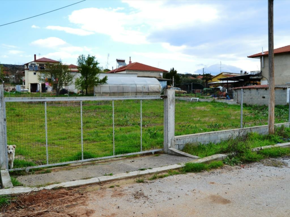 Land In Nea Propontida, Greece