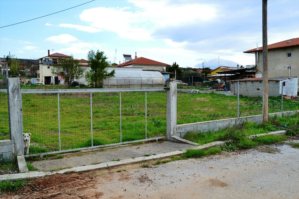 Land In Nea Propontida, Greece