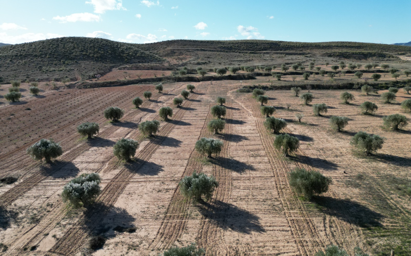 Land In La Alqueria, Spain (46.272 M² Plot)
