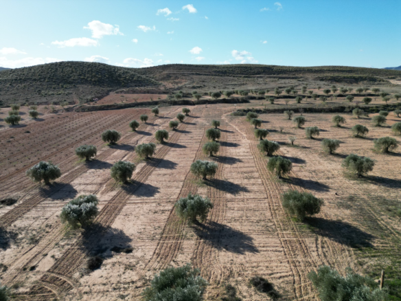 Land In La Alqueria, Spain (46.272 M² Plot)