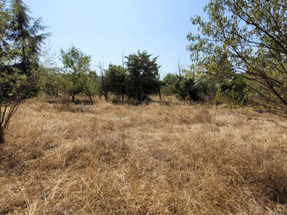 Land In Thermi, Greece