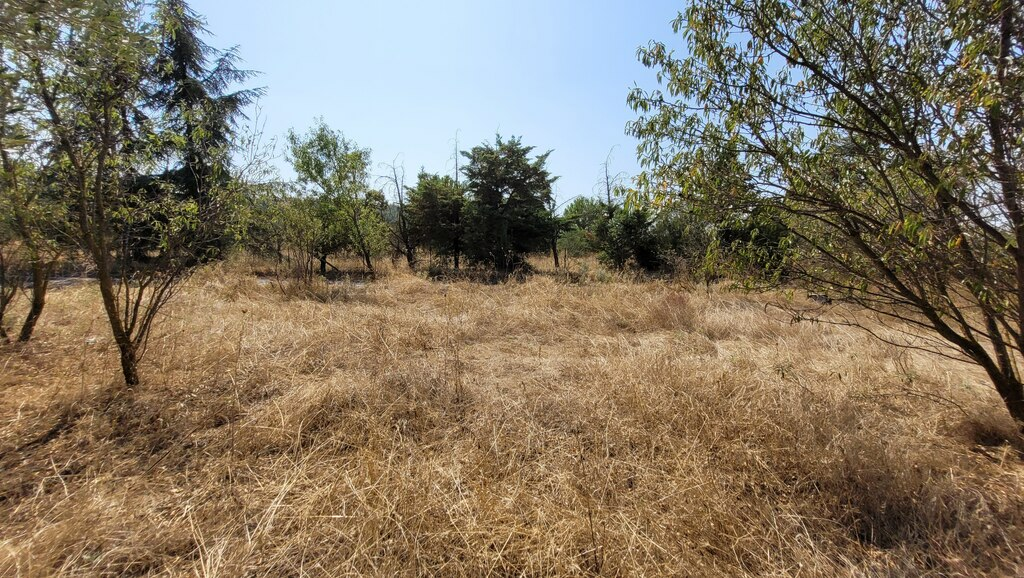 Land In Thermi, Greece