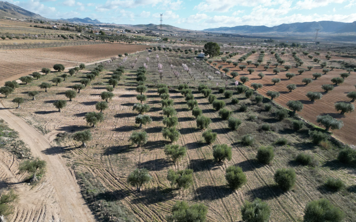 Land In La Alqueria, Spain (46.272 M² Plot)