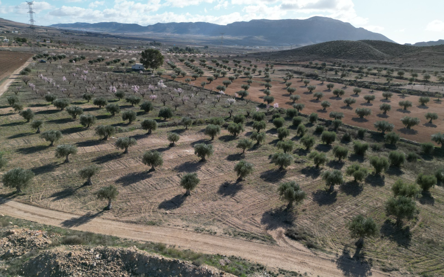 Land In La Alqueria, Spain (46.272 M² Plot)