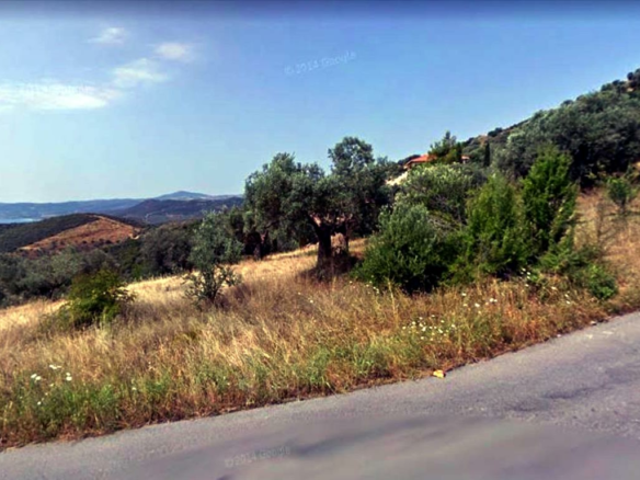 Land In Aristotle, Greece