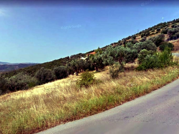 Land In Aristotle, Greece