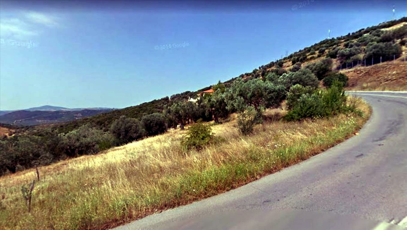Land In Aristotle, Greece