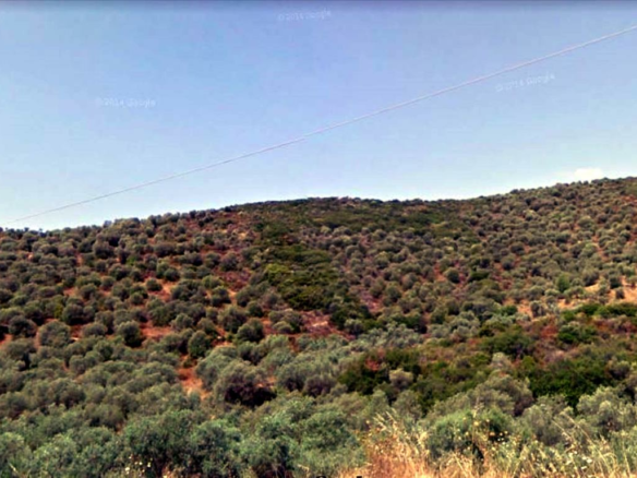 Land In Aristotle, Greece