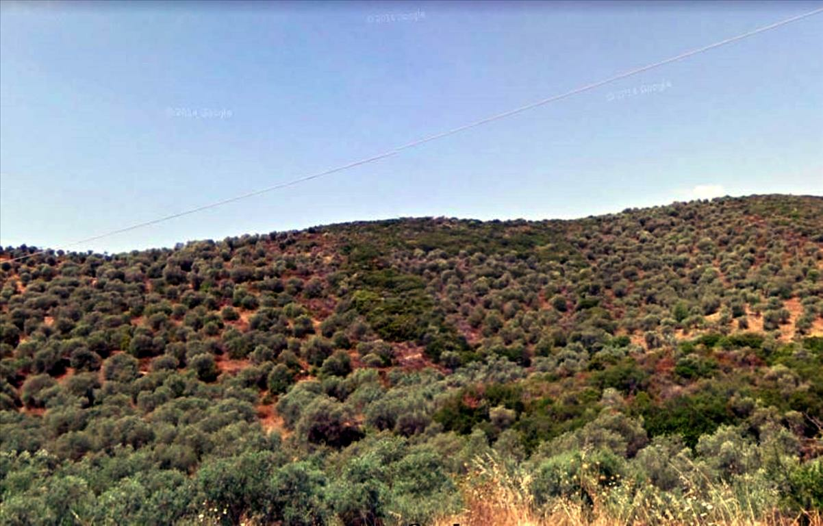 Land In Aristotle, Greece