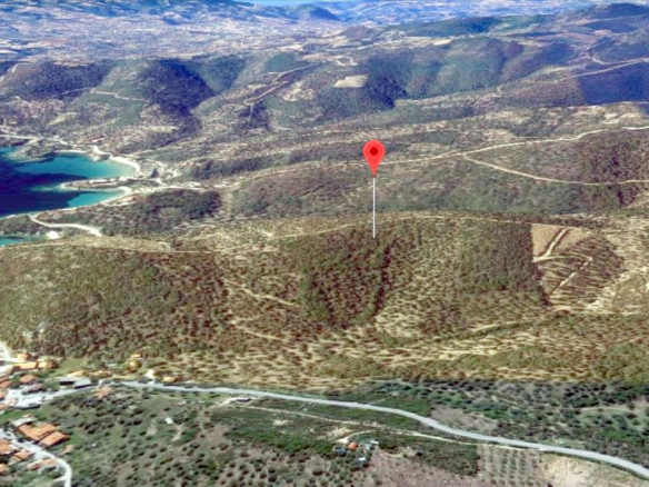 Land In Aristotle, Greece