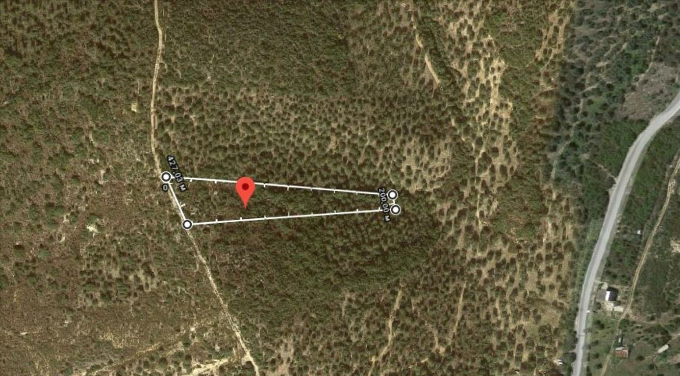 Land In Aristotle, Greece