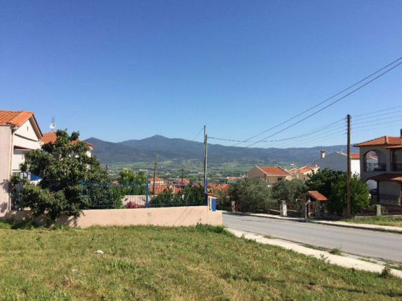 Land In Vasilika, Greece