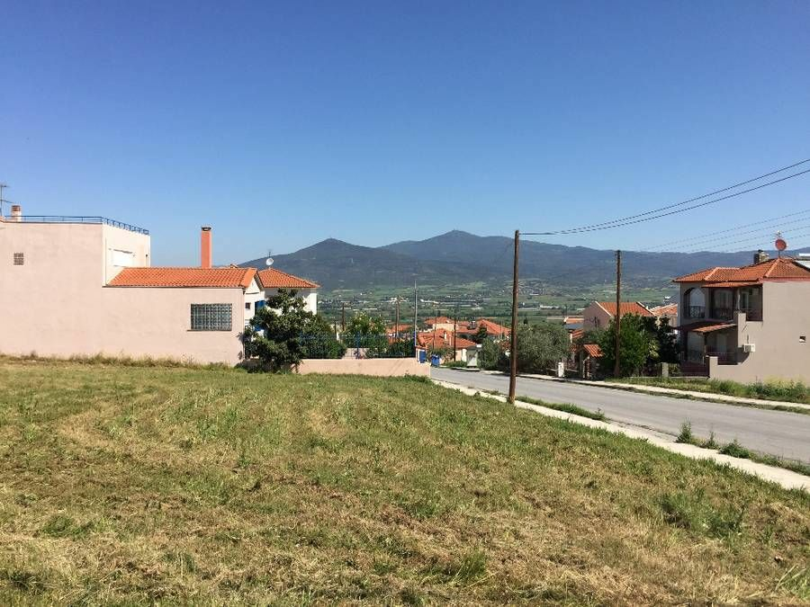 Land In Vasilika, Greece