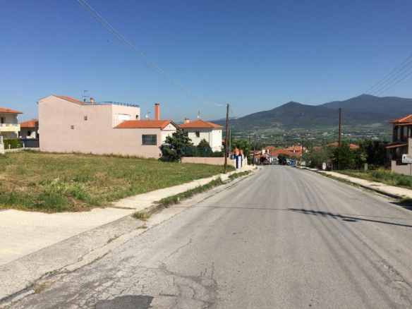 Land In Vasilika, Greece