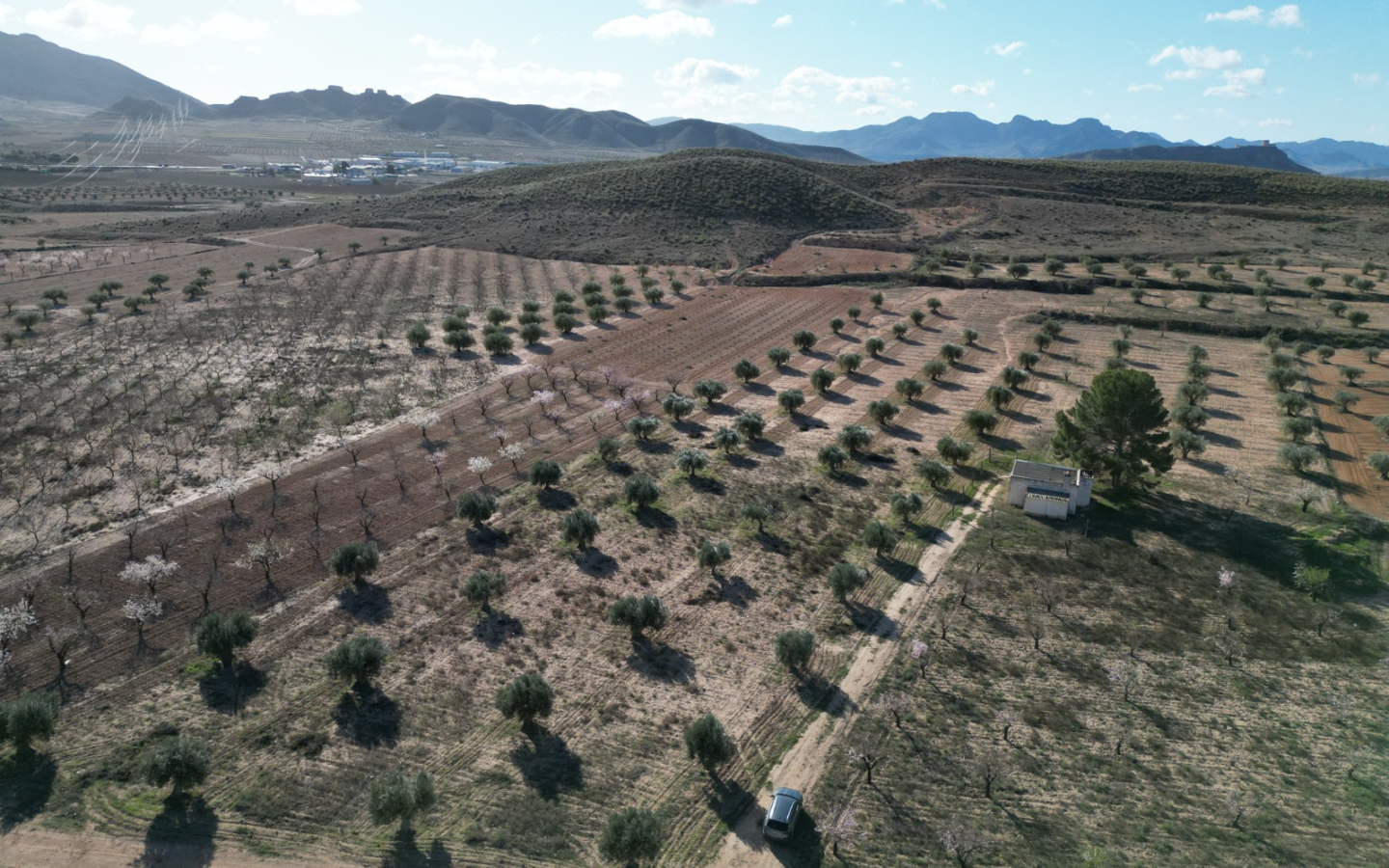 Land In La Alqueria, Spain (46.272 M² Plot)