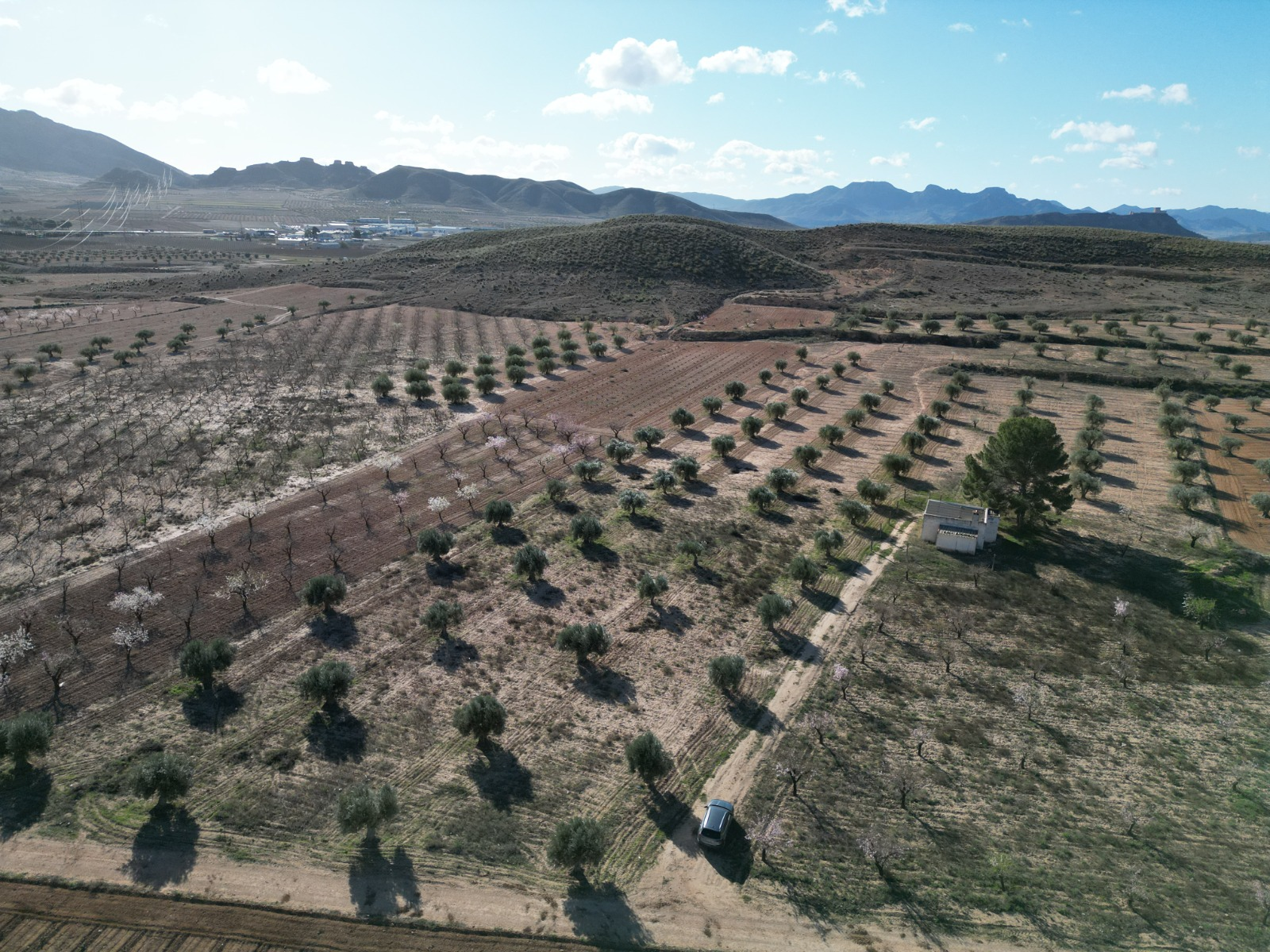 Land In La Alqueria, Spain (46.272 M² Plot)