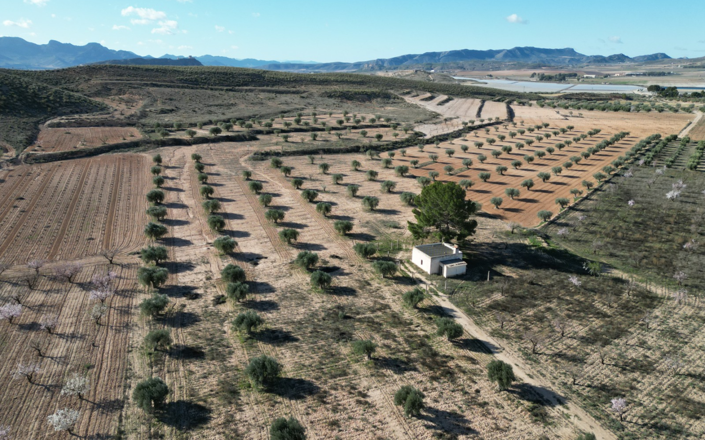 Land In La Alqueria, Spain (46.272 M² Plot)