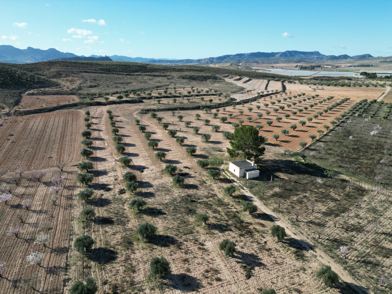 Land In La Alqueria, Spain (46.272 M² Plot)