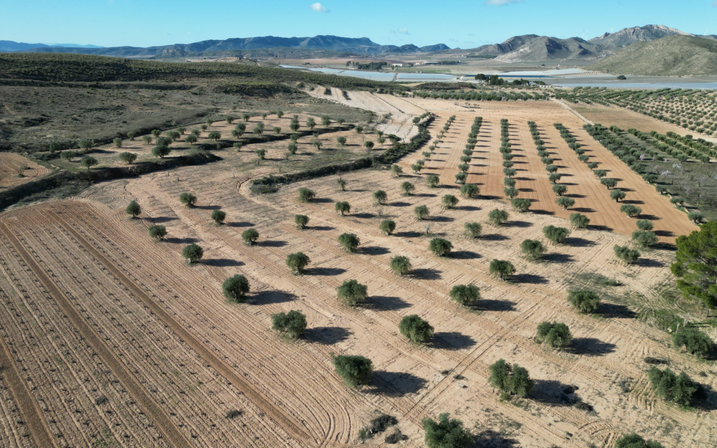 Land In La Alqueria, Spain (46.272 M² Plot)