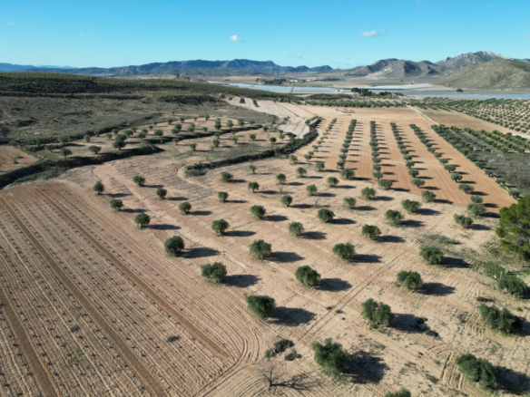 Land In La Alqueria, Spain (46.272 M² Plot)