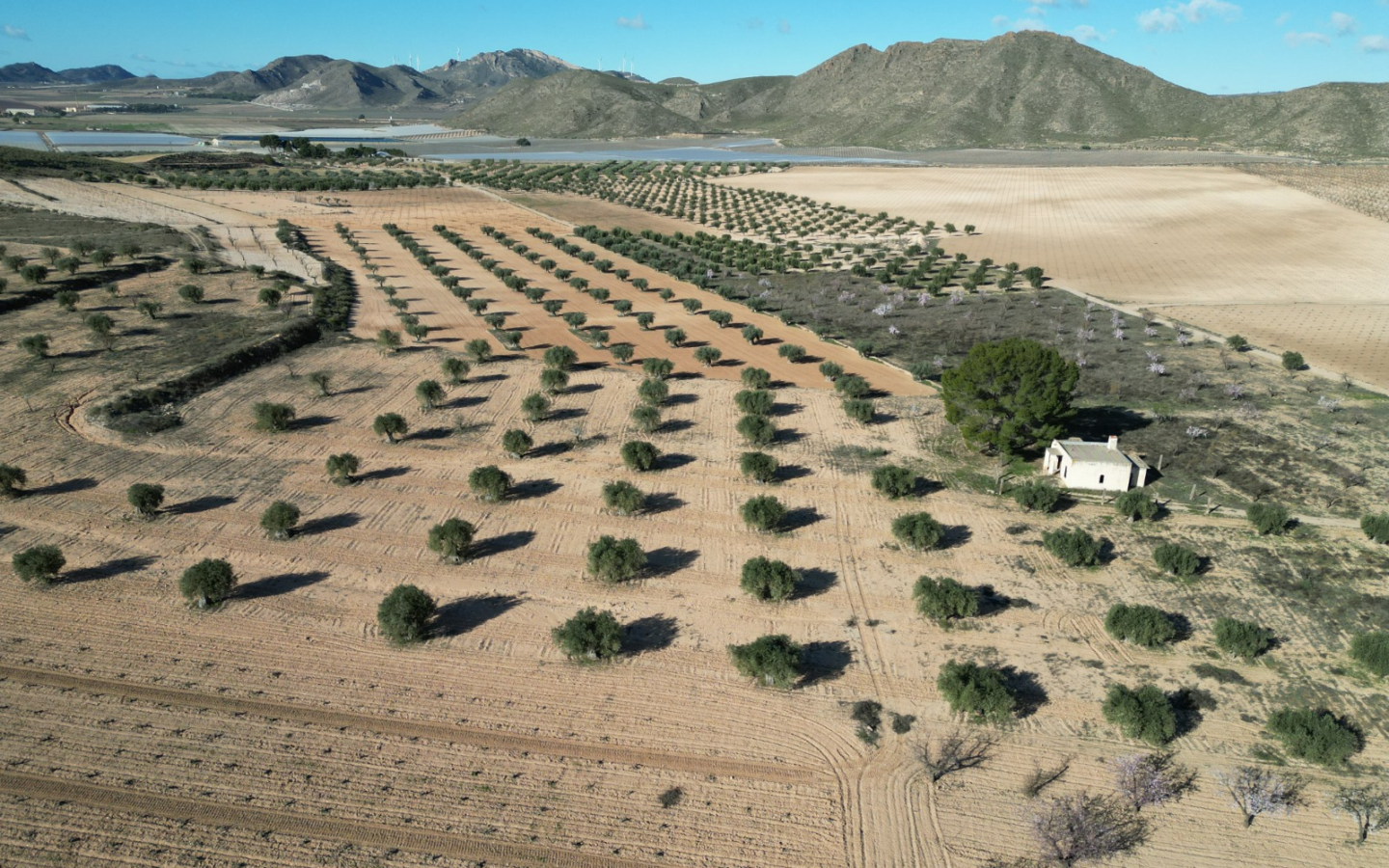 Land In La Alqueria, Spain (46.272 M² Plot)