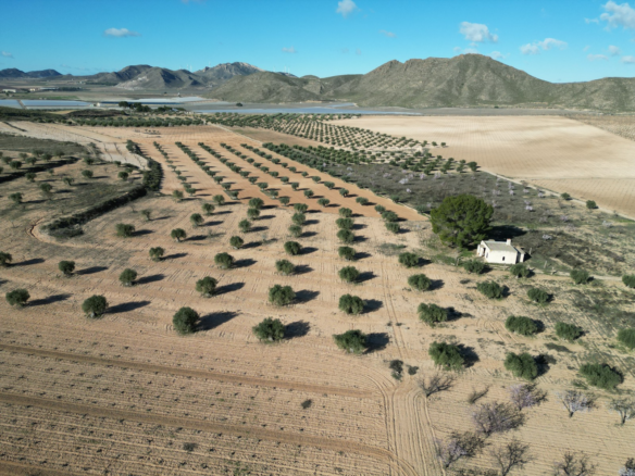 Land In La Alqueria, Spain (46.272 M² Plot)