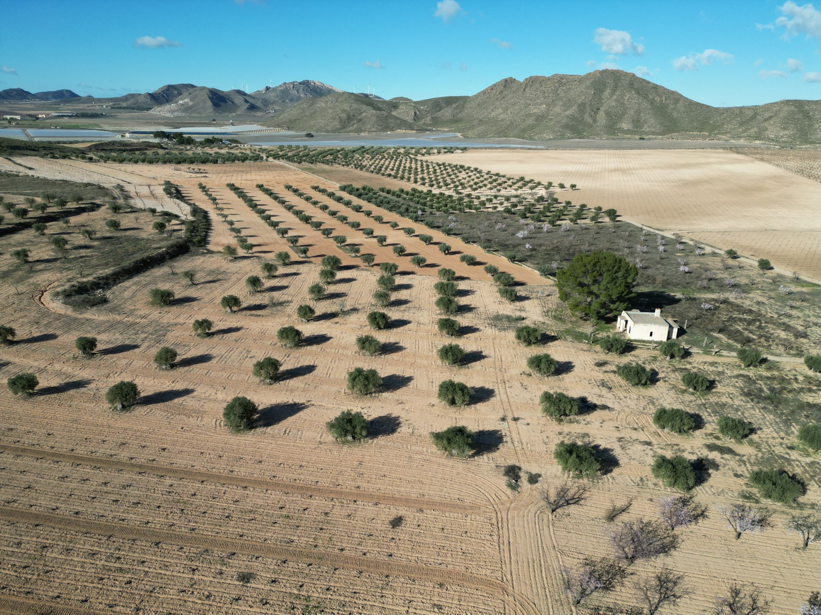Land In La Alqueria, Spain (46.272 M² Plot)