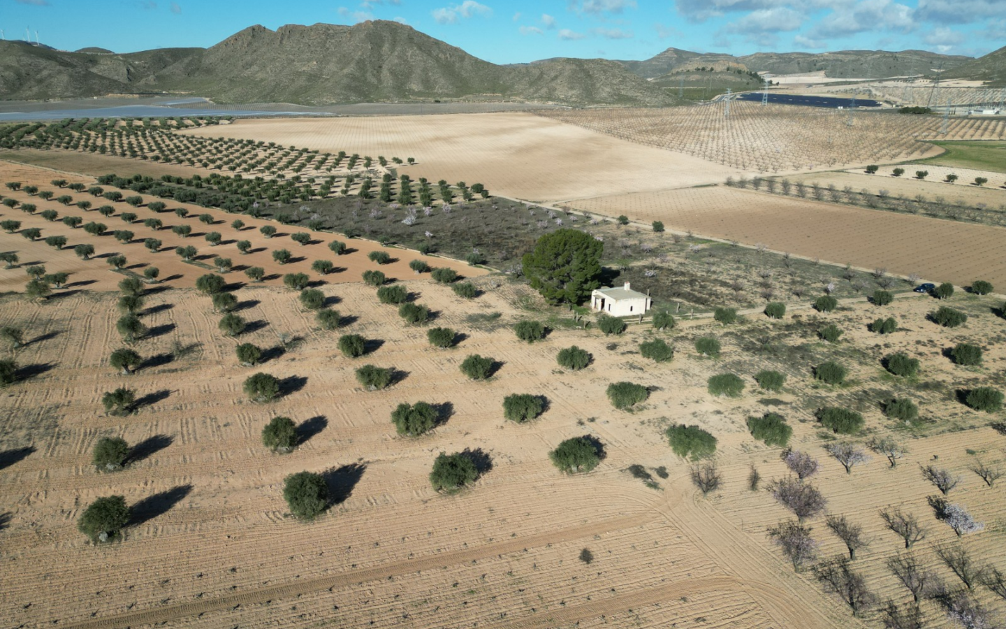 Land In La Alqueria, Spain (46.272 M² Plot)