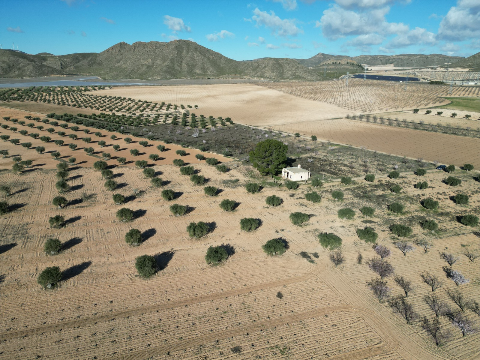 Land In La Alqueria, Spain (46.272 M² Plot)