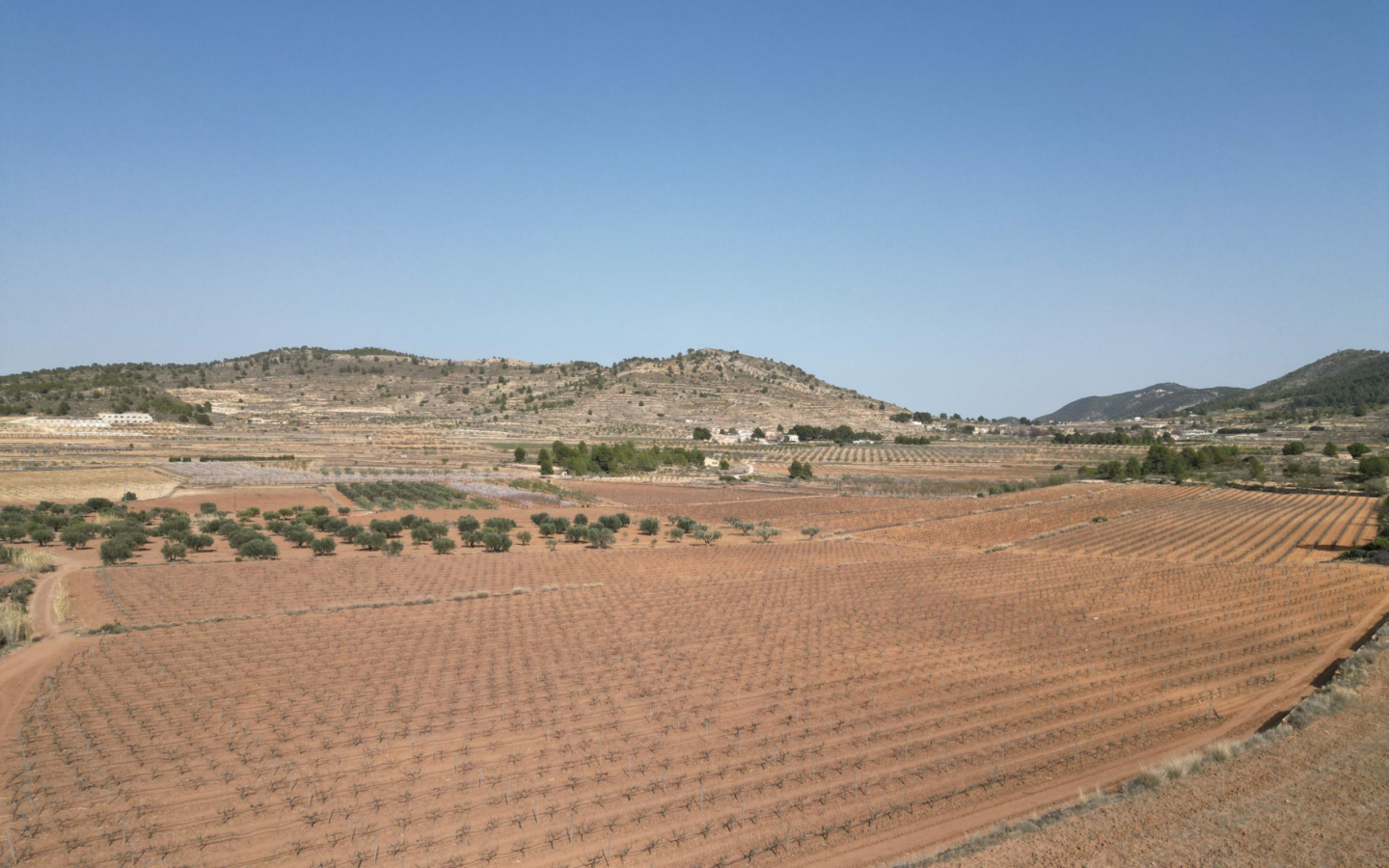 Land In Pinoso, Spain (11.200 M² Plot)