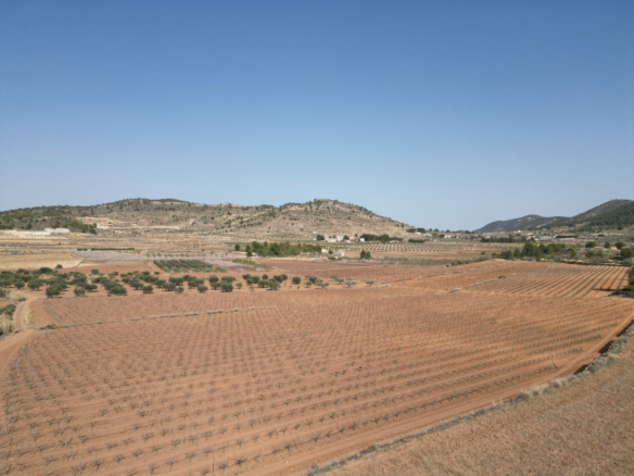 Land In Pinoso, Spain (11.200 M² Plot)
