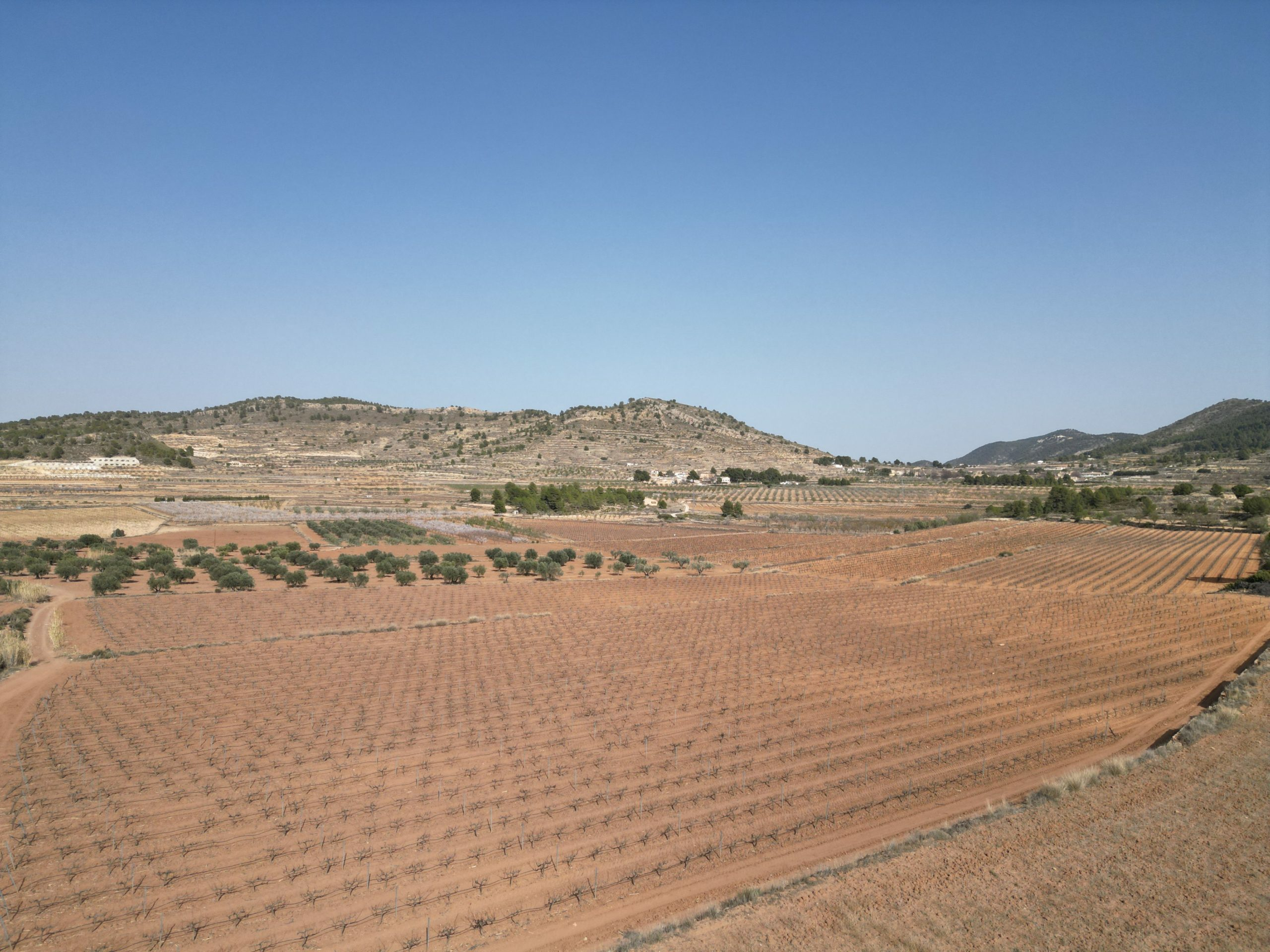 Land In Pinoso, Spain (11.200 M² Plot)