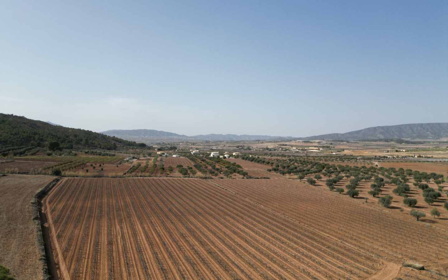 Land In Pinoso, Spain (11.200 M² Plot)