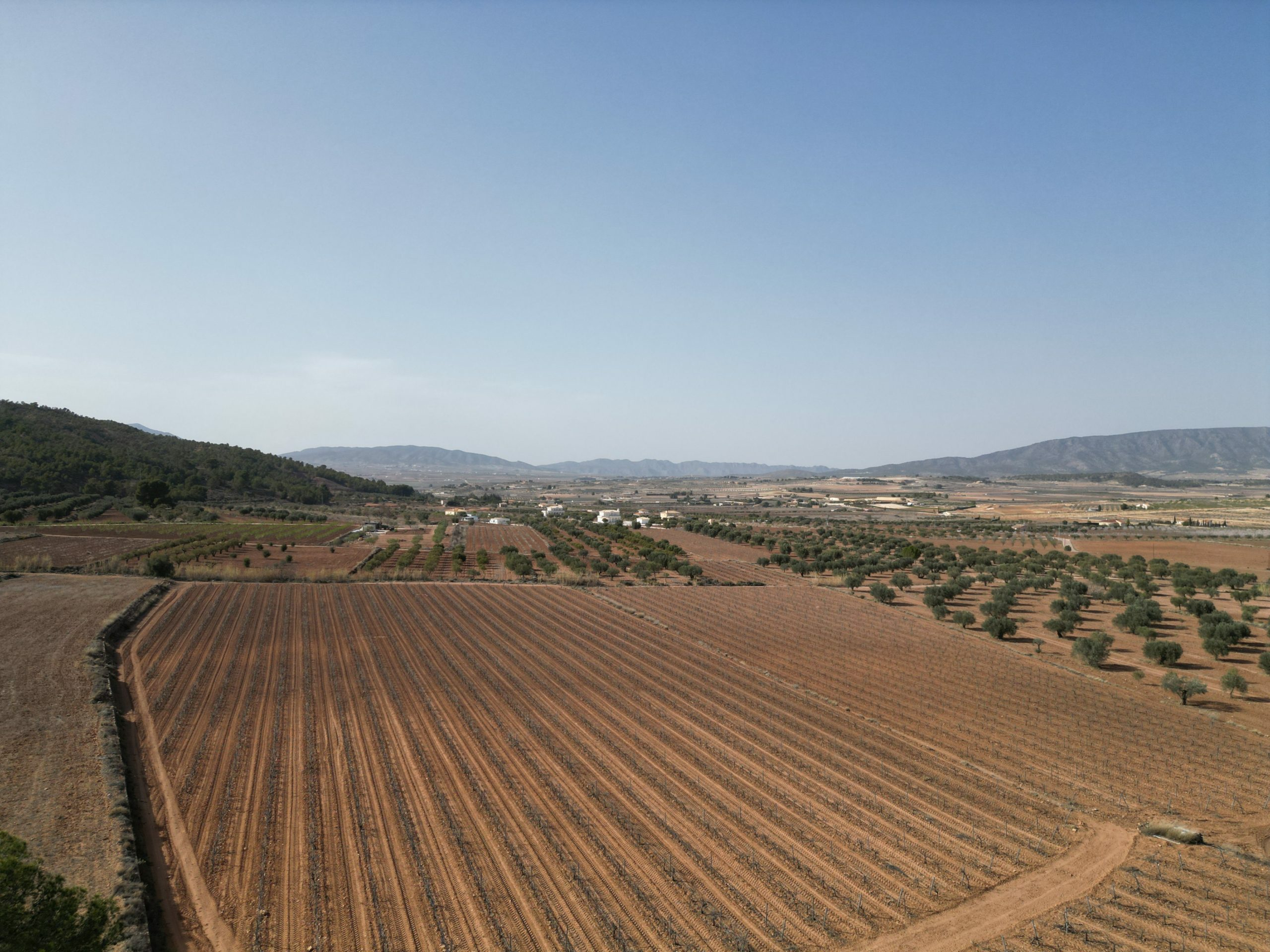 Land In Pinoso, Spain (11.200 M² Plot)