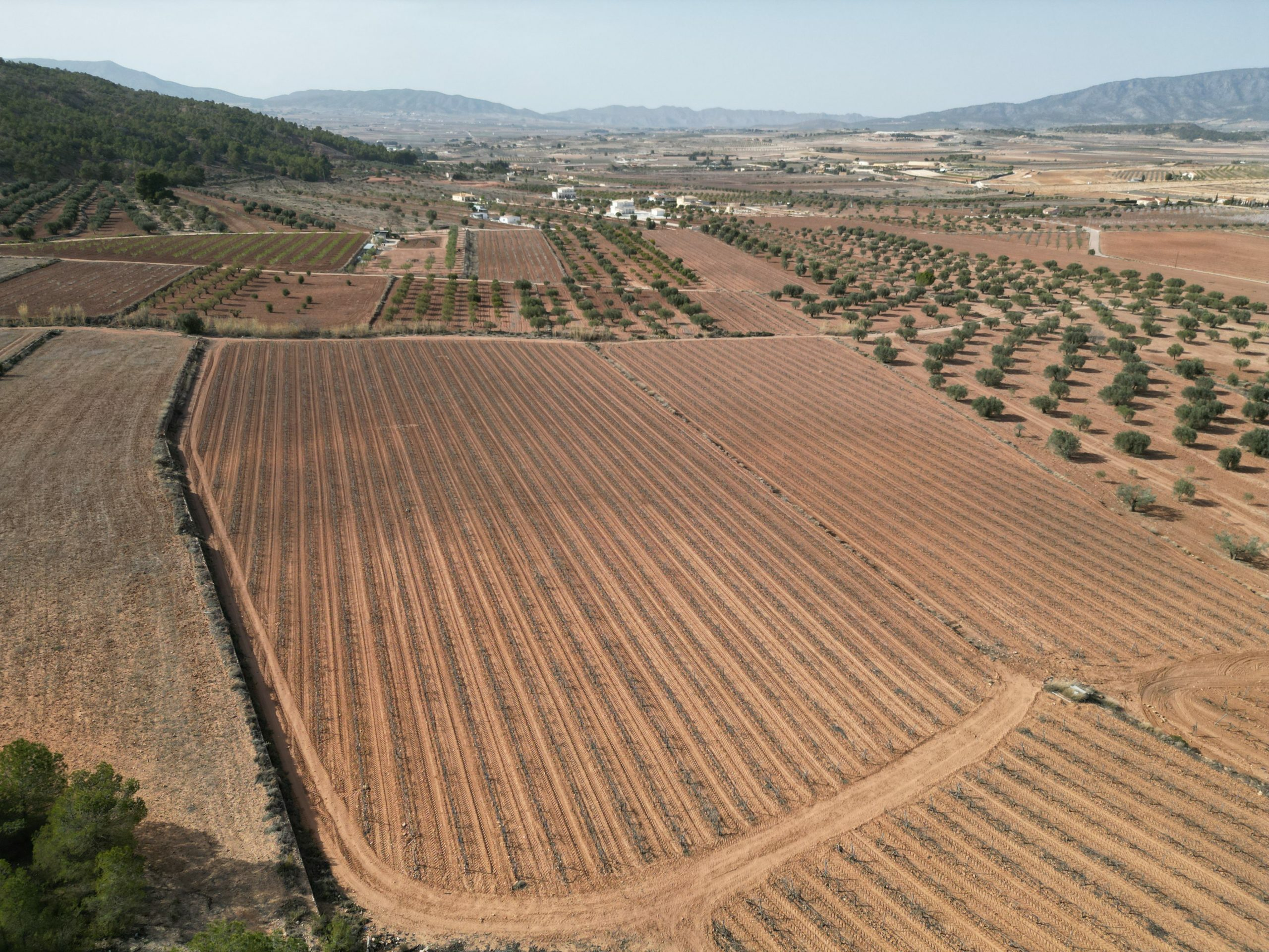 Land In Pinoso, Spain (11.200 M² Plot)