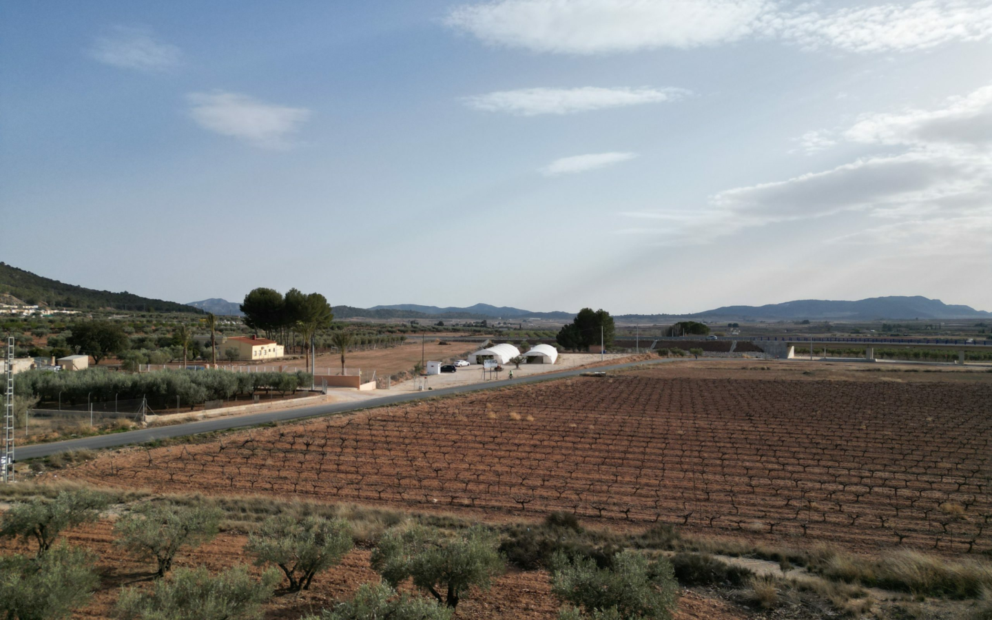 Land In Pinoso, Spain (18.928 M² Plot)