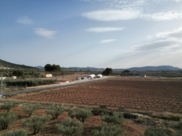 Land In Pinoso, Spain (18.928 M² Plot)